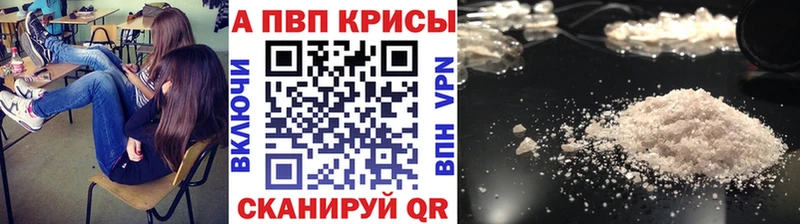 A PVP крисы CK  Сосенский 