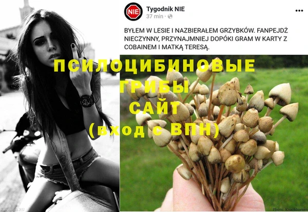 мет Алексин