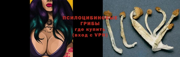 МДПВ Алзамай