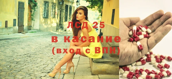 мет Алексин