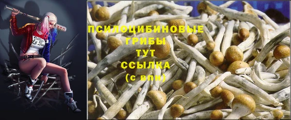 МДПВ Алзамай
