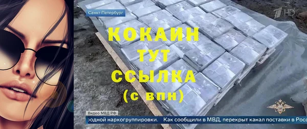 МДПВ Алзамай